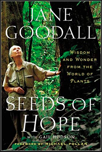 Seeds of Hope - book cover